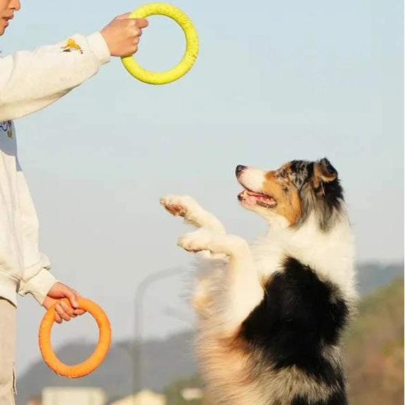 AeroTug Floating Dog Disc durable floating dog toy for fetch and tug-of-war