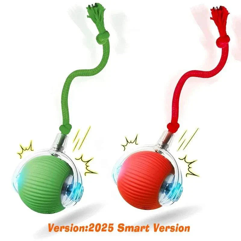 ZoomPaw Smart Interactive Cat Ball rolling toy with smart obstacle avoidance and rechargeable battery for cats and small dogs