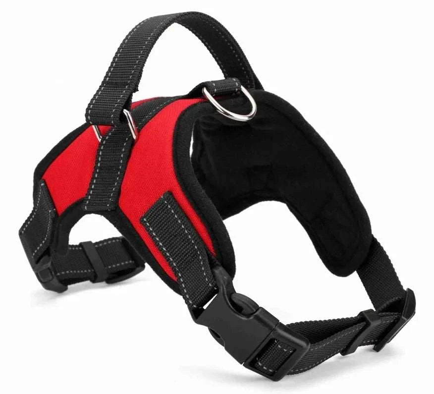 ComfortFit Reflective Dog Harness in breathable nylon with adjustable straps and reflective details on a small dog