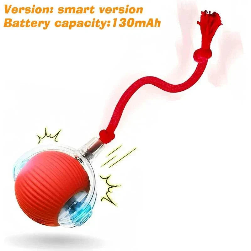 ZoomPaw Smart Interactive Cat Ball automatic rolling rechargeable toy with obstacle avoidance for cats and small dogs