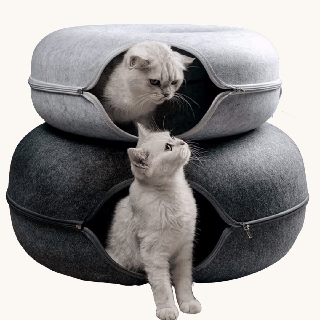 PurrNest™ 2-in-1 Cat Tunnel Bed – Cozy Donut Cat Bed