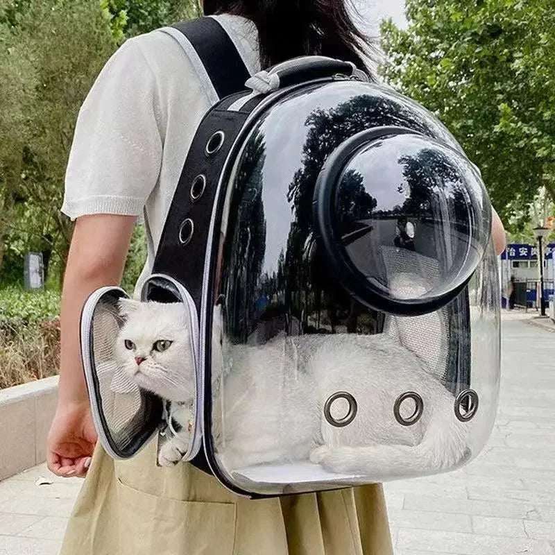 Travel bags