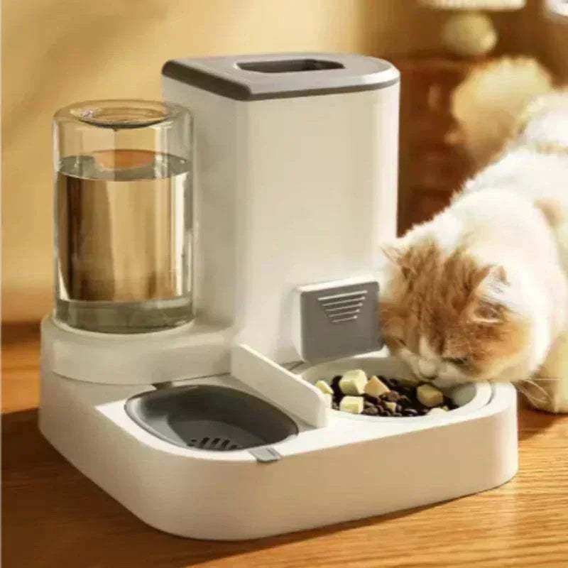 Cat Supplies & Accessories