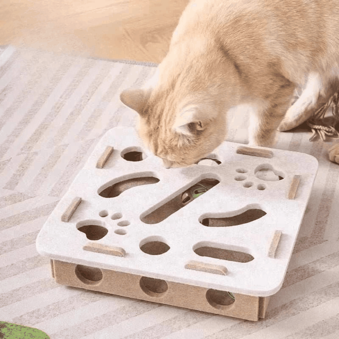 PurrPlay Interactive Cat Puzzle Box felt puzzle toy for indoor cat enrichment and mental stimulation