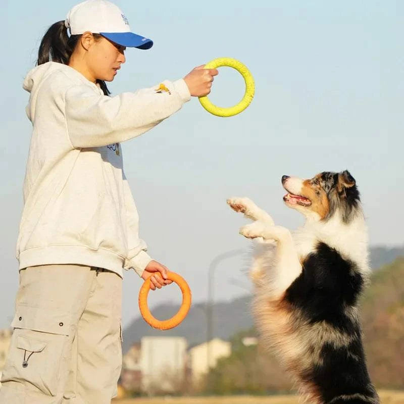 AeroTug Floating Dog Disc durable floating dog toy for fetch and tug-of-war