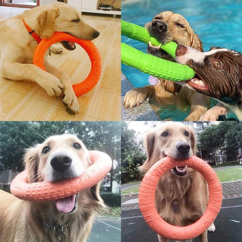 PawzPlay Tug &amp; Fetch Training Ring durable rubber interactive dog toy in red, orange, and green colors