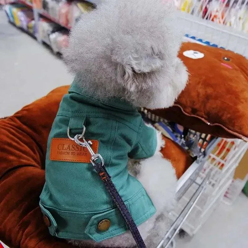 Everyday Scout Dog Hoodie