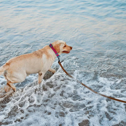 TrailFlex Long Dog Training Leash durable PVC long leash for dog training and outdoor use