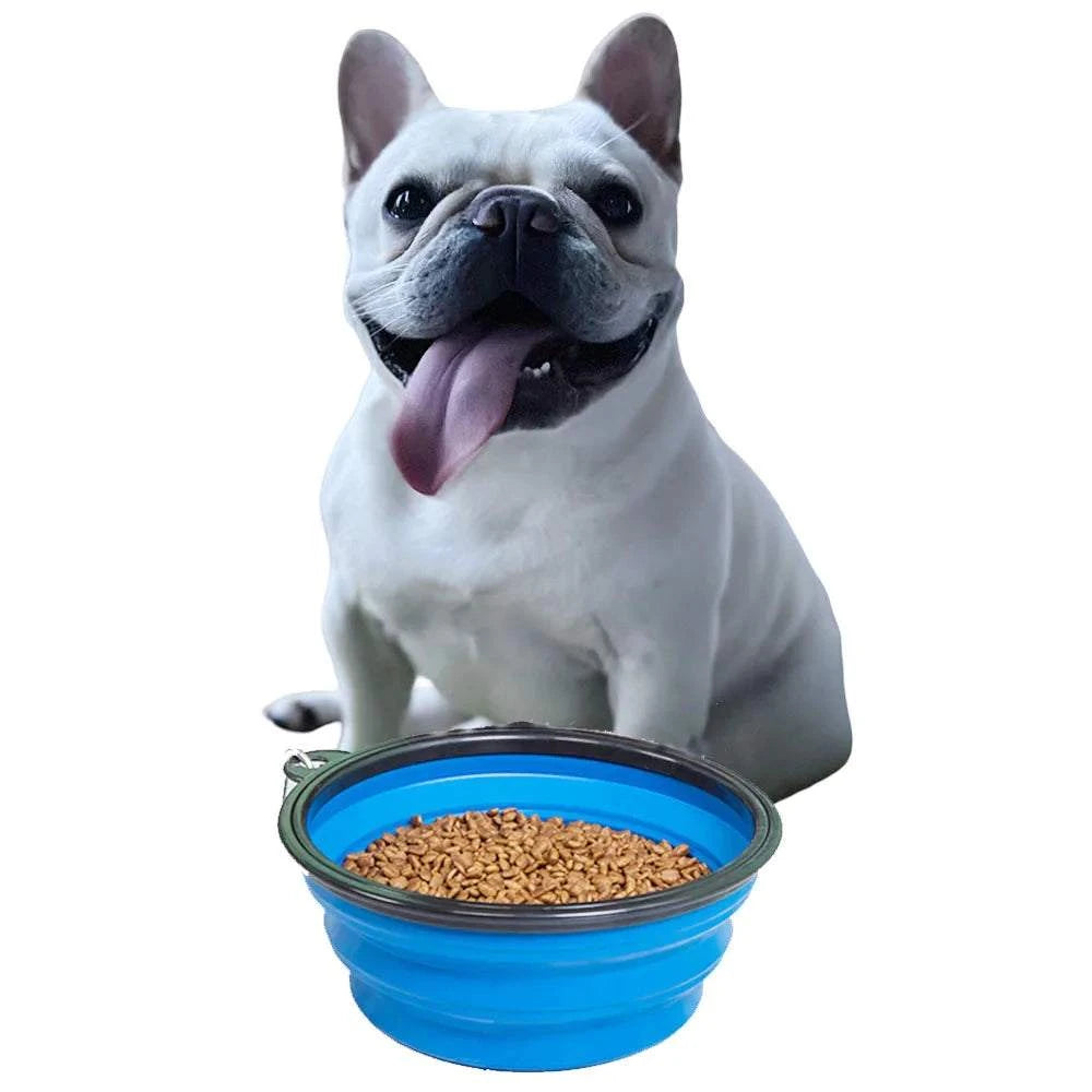 FoldAway Travel Pet Bowl in various colors with carabiner clip, collapsible and made of durable TPE for easy travel use with dogs and cats