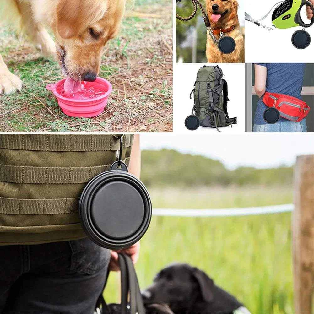 FoldAway Travel Pet Bowl collapsible pet bowl with carabiner for travel and outdoor use