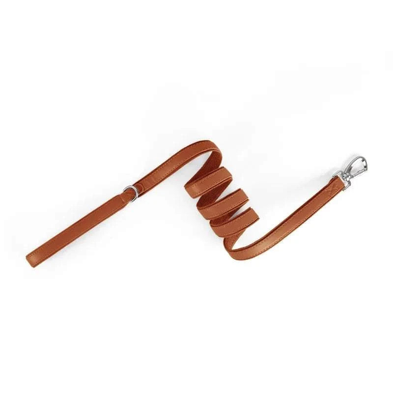 SecureTrack Leather AirTag Collar and matching leather leash set for dogs with built-in AirTag holder and adjustable buckle.