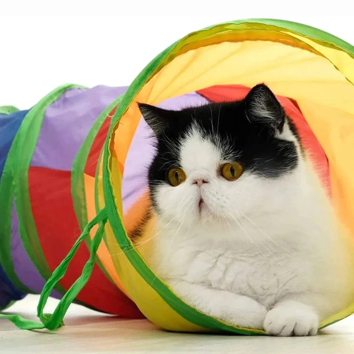 PurrMaze Foldable Cat Tunnel interactive play toy with crinkle fabric and hanging ball for cats and small pets