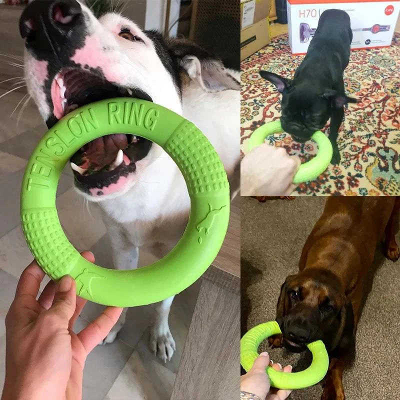 PawzPlay Tug &amp; Fetch Training Ring durable rubber dog toy for fetch and tug-of-war in red, orange, and green