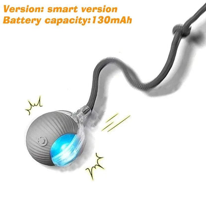 ZoomPaw Smart Interactive Cat Ball automatic rolling toy with obstacle avoidance and rechargeable battery for cats and small dogs