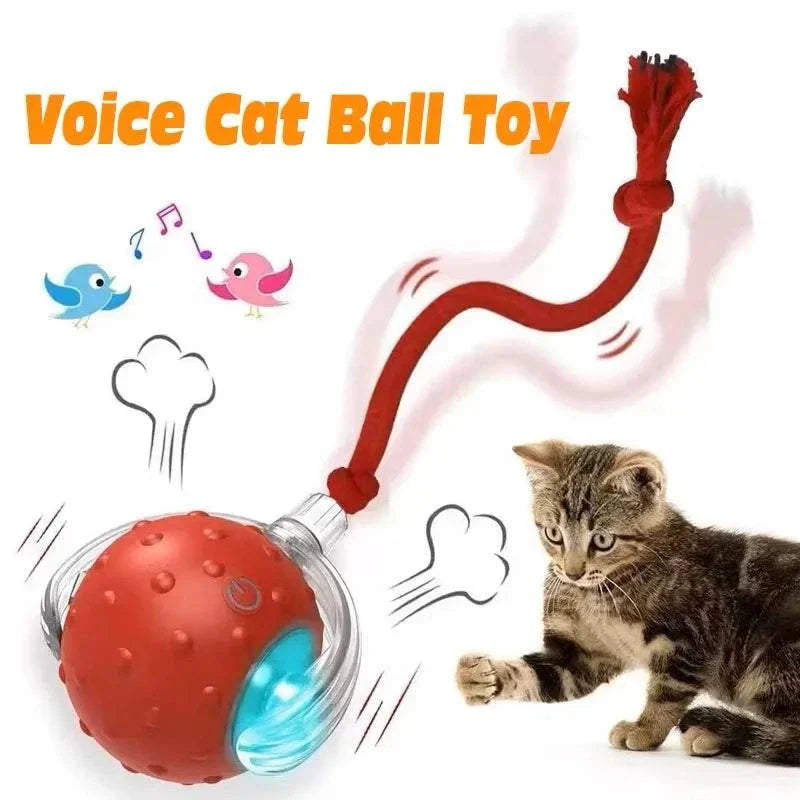 ZoomPaw Smart Interactive Cat Ball automatic rolling toy with obstacle avoidance and rechargeable battery