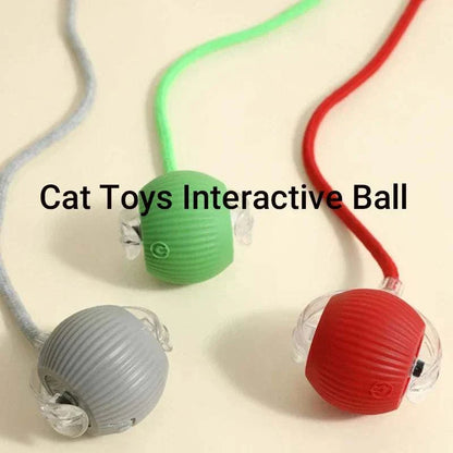ZoomPaw Smart Interactive Cat Ball automatic rolling rechargeable toy for cats and small dogs
