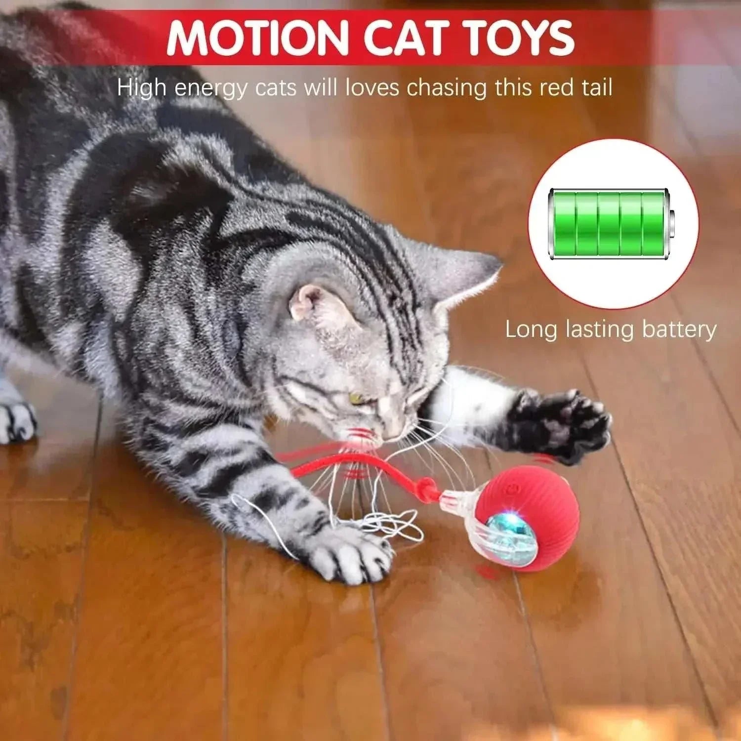 ZoomPaw Smart Interactive Cat Ball automatic rolling toy for cats and small dogs