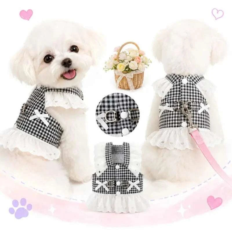 BellaBow Plaid Harness Dress & Leash Set