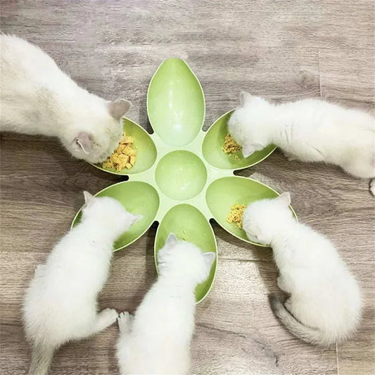 PetalFeast Multi-Cat Feeding Bowl flower-shaped multi-compartment pet food dish for cats and small dogs