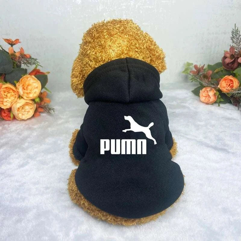 RoverClub Sport Dog Hoodie