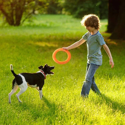 PawzPlay Tug &amp; Fetch durable rubber dog training ring for interactive play and outdoor exercise