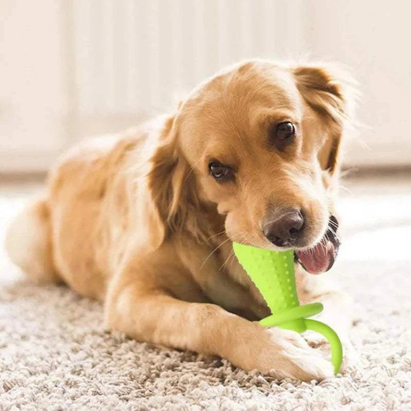 PawzChew Dental Play Ball
