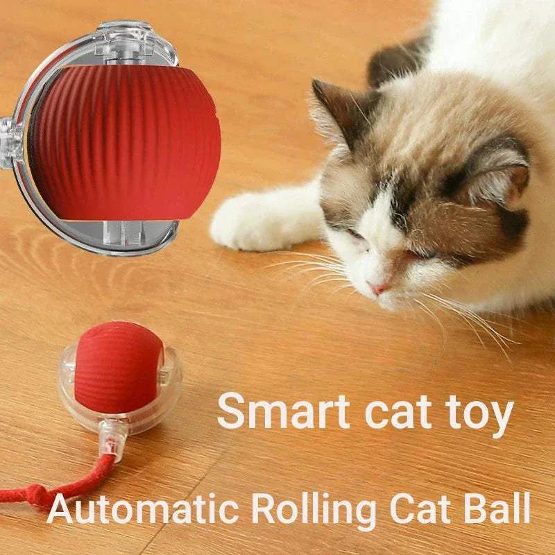 ZoomPaw Smart Interactive Cat Ball automatic rolling rechargeable toy for cats and small dogs