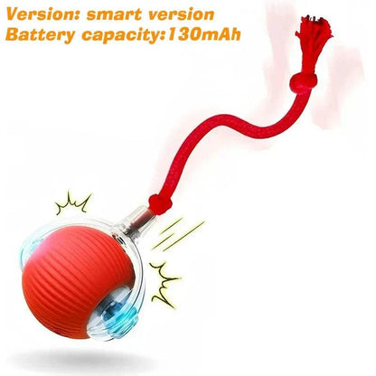 ZoomPaw Smart Interactive Cat Ball automatic rolling rechargeable toy with obstacle avoidance for cats and small dogs