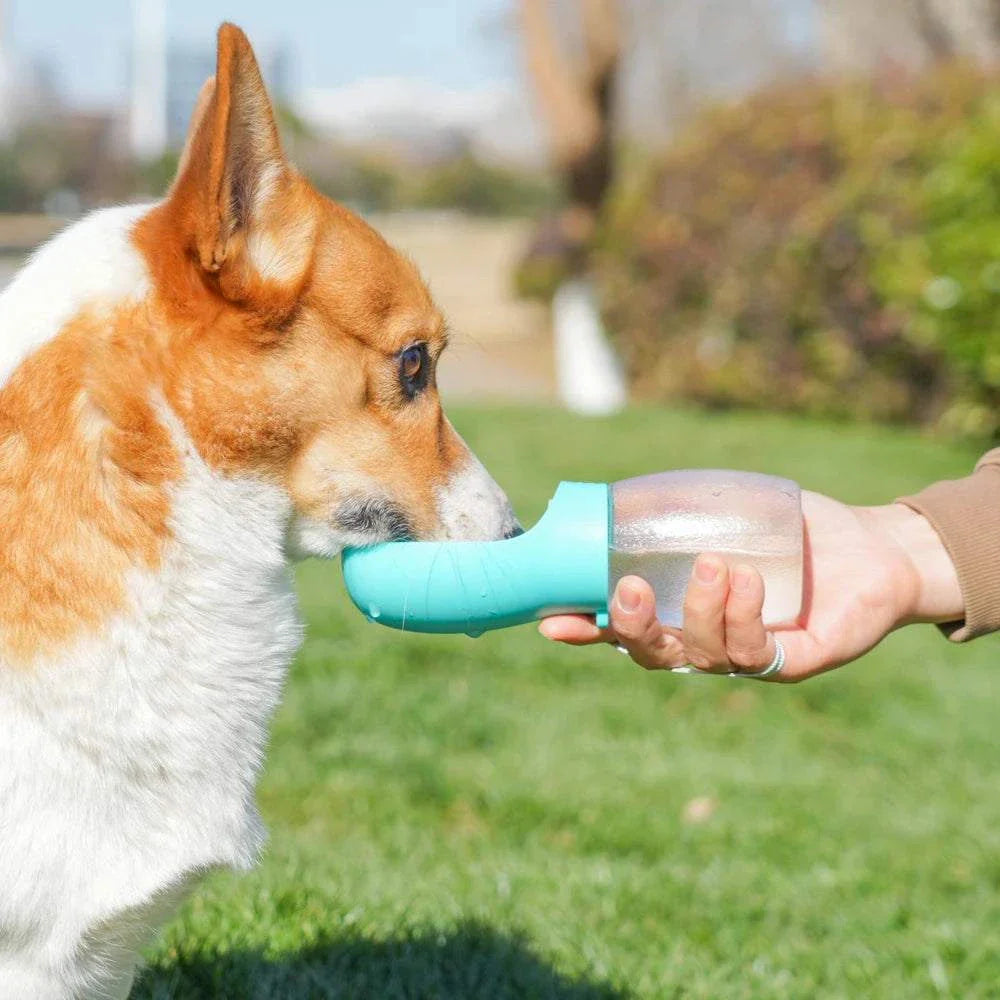 HydroPaw Portable Pet Water Bottle with built-in drinking bowl and lanyard for pet hydration on the go