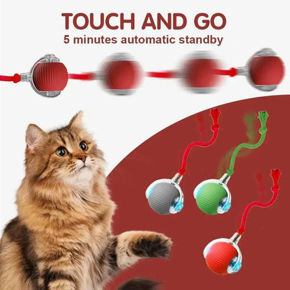 ZoomPaw Smart Interactive Cat Ball automatic rolling toy for cats and small dogs with rechargeable battery and obstacle avoidance sensors