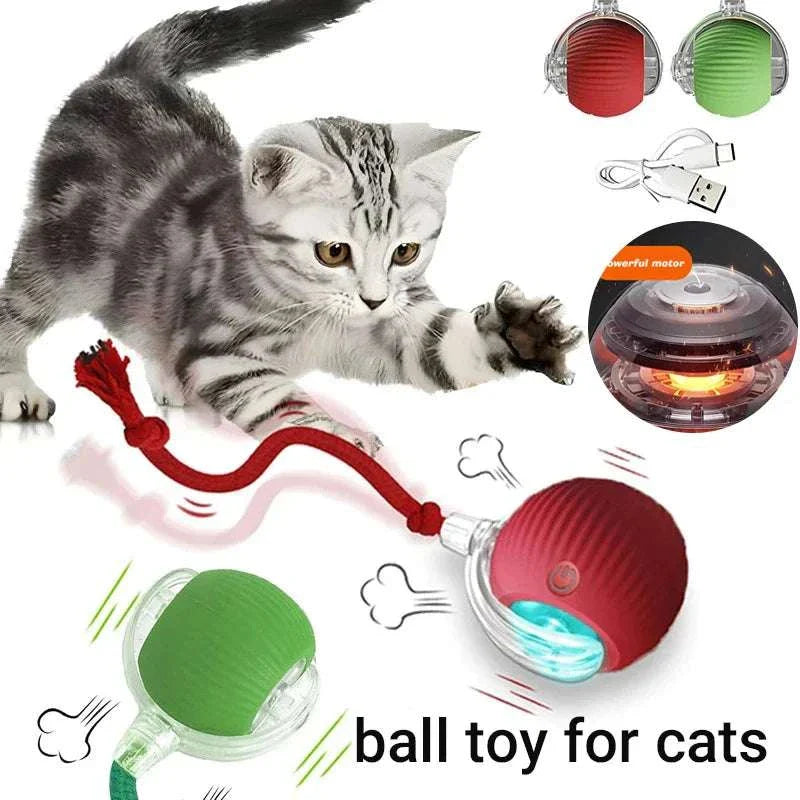 ZoomPaw Smart Interactive Cat Ball automatic rolling toy with rechargeable battery and obstacle avoidance sensors for indoor cats and small dogs