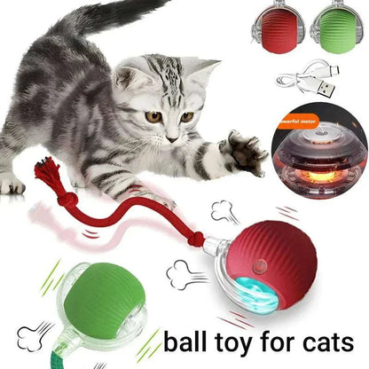 ZoomPaw Smart Interactive Cat Ball automatic rolling toy with rechargeable battery and obstacle avoidance sensors for indoor cats and small dogs