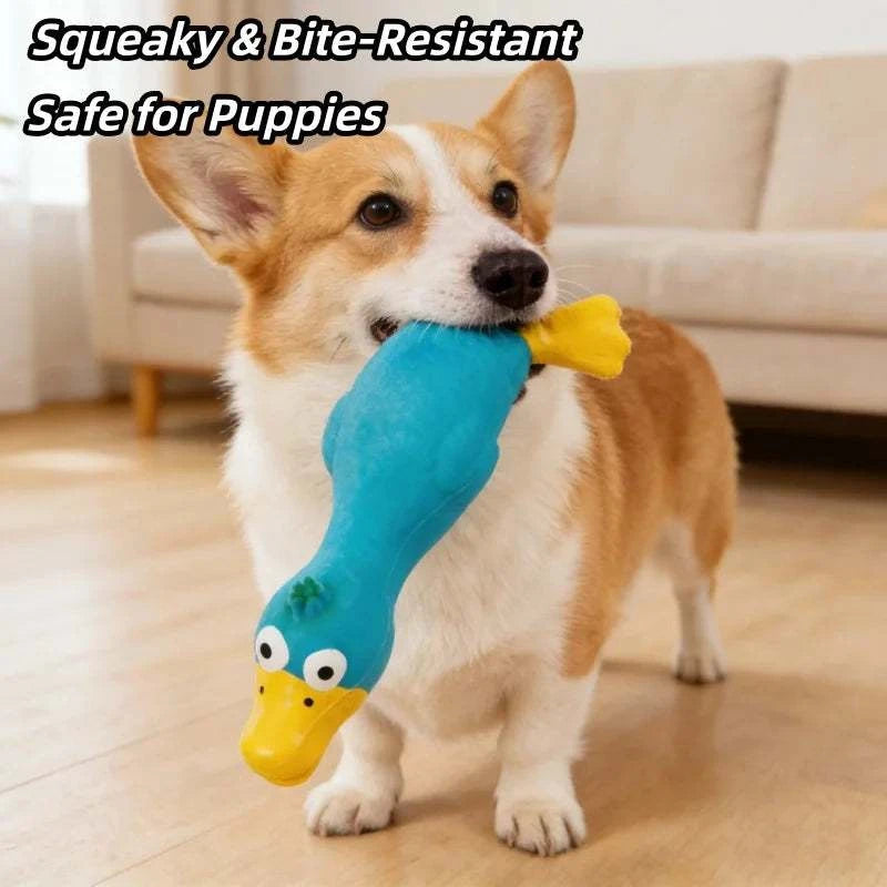 SqueakyPaws Latex Dog Toy