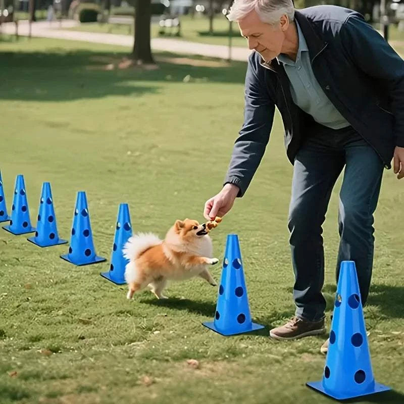 AgilePaws Dog Training Hurdle Set with adjustable hurdles and marker buckets for agility training