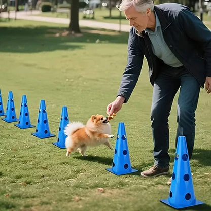 AgilePaws Dog Training Hurdle Set with adjustable hurdles and marker buckets for agility training