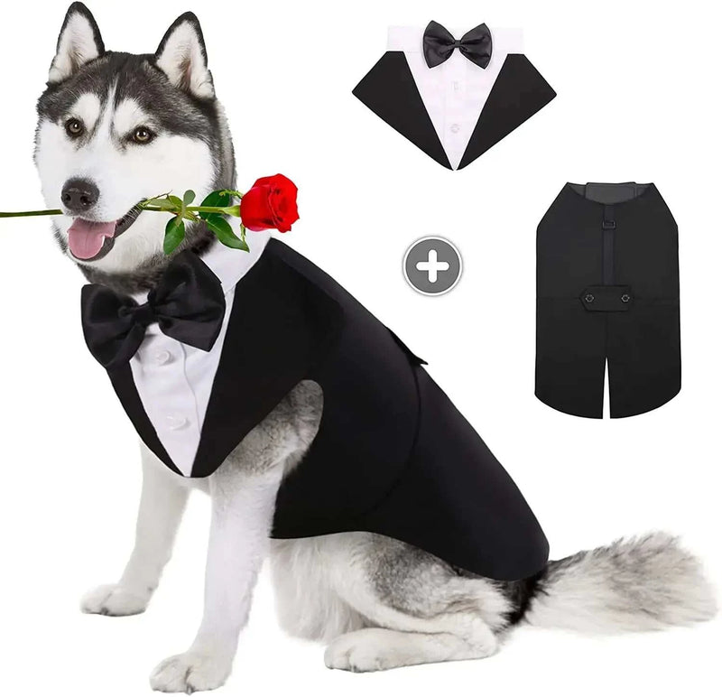 The Dapper Guest Pet Tuxedo