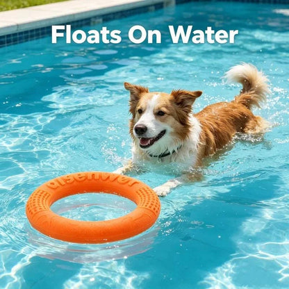 AeroTug Floating Dog Disc durable TPR flying disc for fetch and tug-of-war, floats on water for active dog play