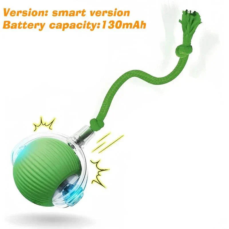 ZoomPaw Smart Interactive Cat Ball automatic rolling toy for cats and small dogs with rechargeable battery and smart obstacle avoidance