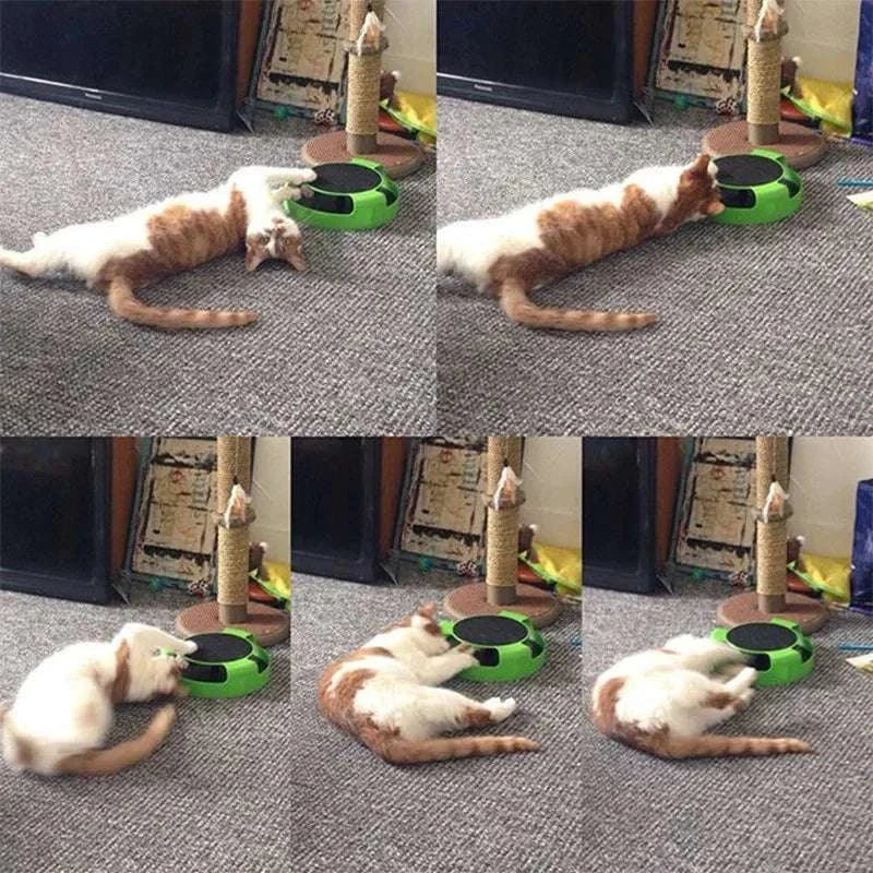 SpinTrack Interactive Cat Toy with circular turntable and rolling mouse for cat exercise and mental stimulation