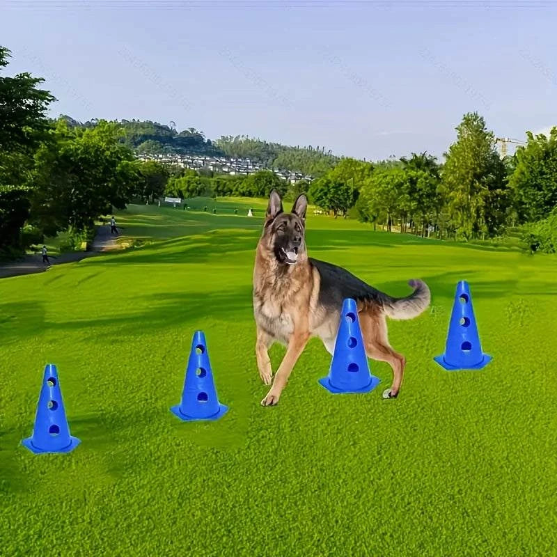 AgilePaws Dog Training Hurdle Set with adjustable hurdles and marker buckets for dog agility training outdoors