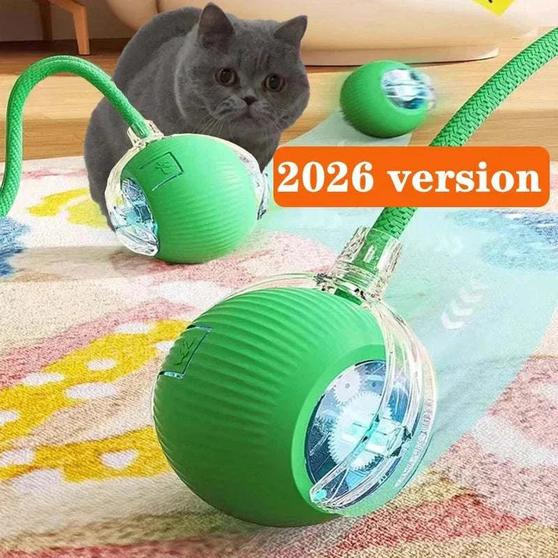 ZoomPaw Smart Interactive Cat Ball automatic rolling rechargeable toy for cats and small dogs
