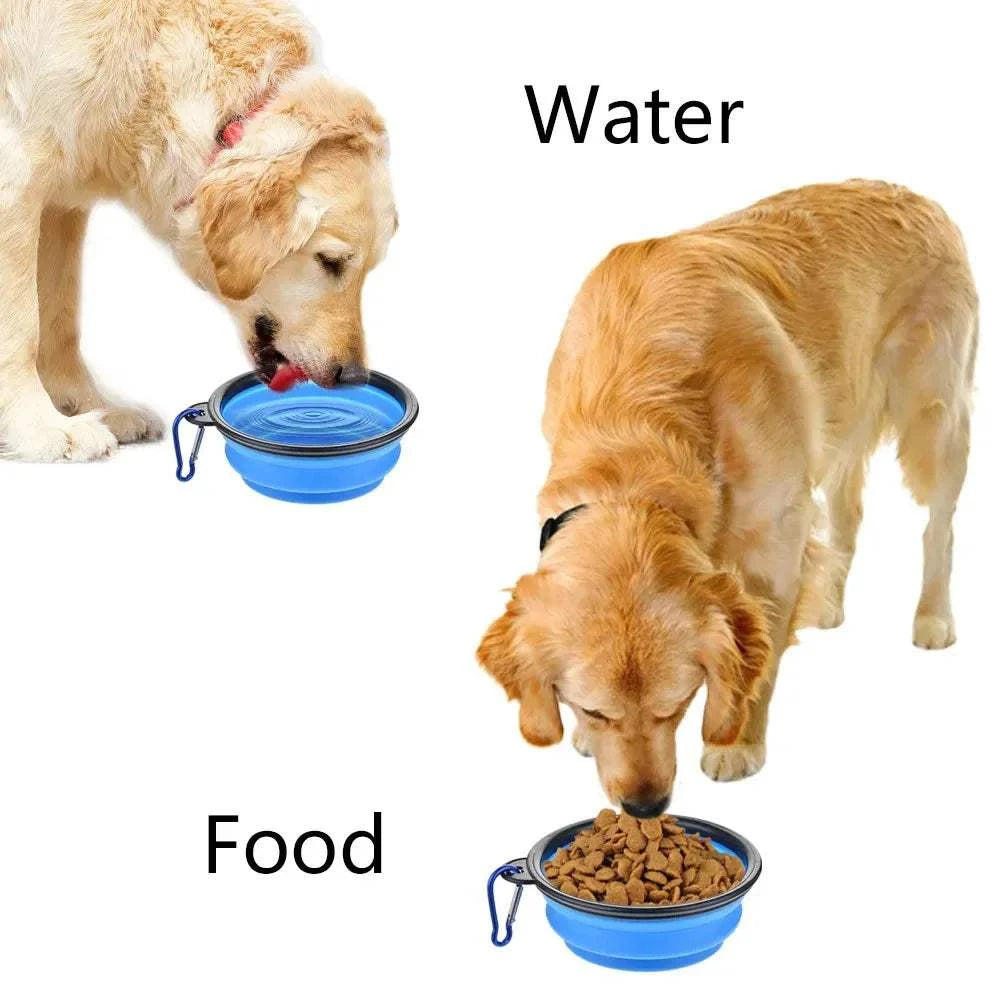 FoldAway Travel Pet Bowl collapsible blue pet bowl with carabiner for travel and outdoor use