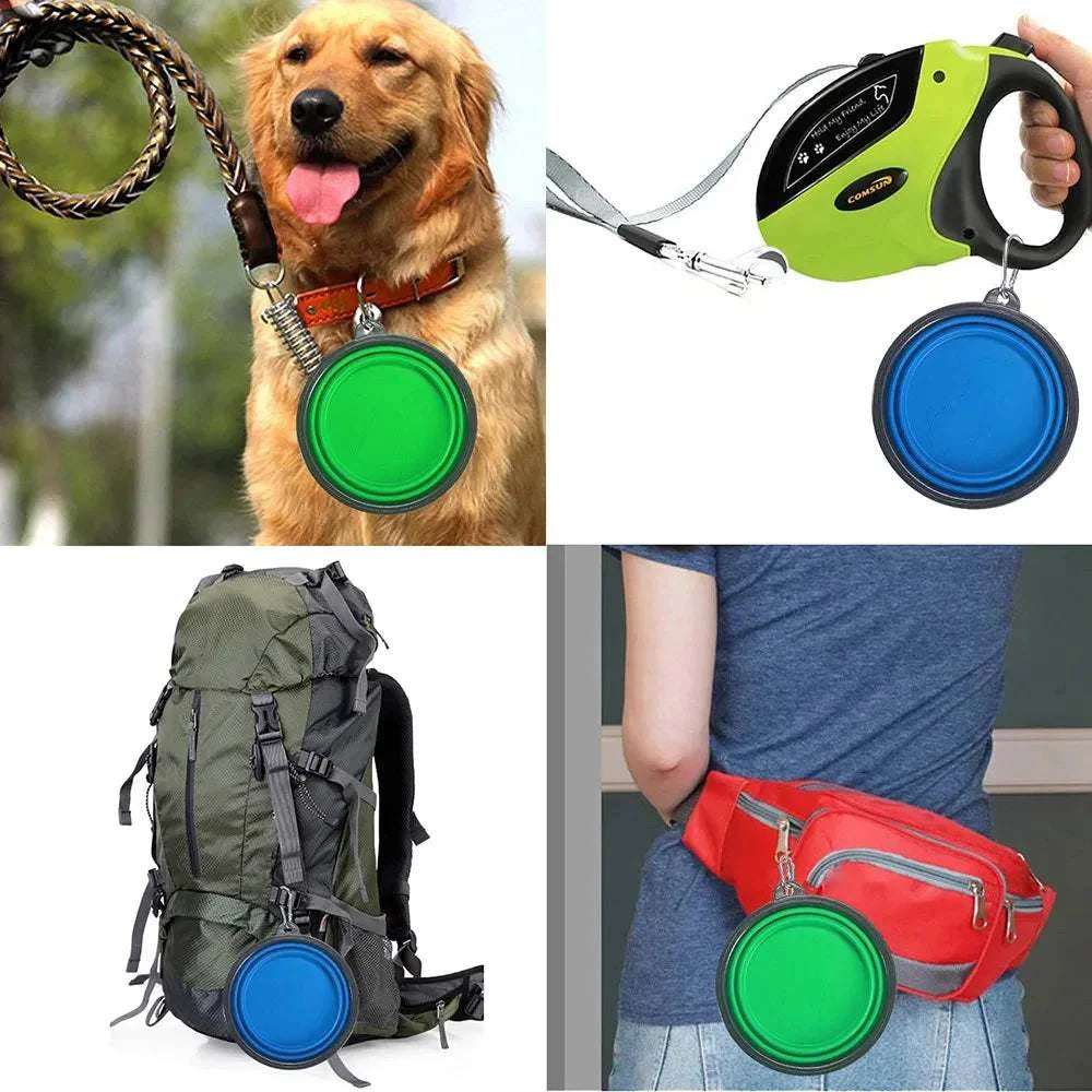 FoldAway Travel Pet Bowl collapsible with carabiner clip for travel and outdoor use