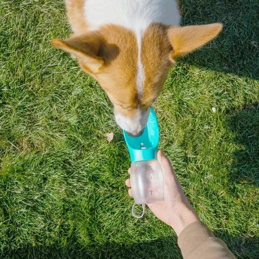 HydroPaw Portable Pet Water Bottle in turquoise with built-in bowl and lanyard for pet hydration on the go