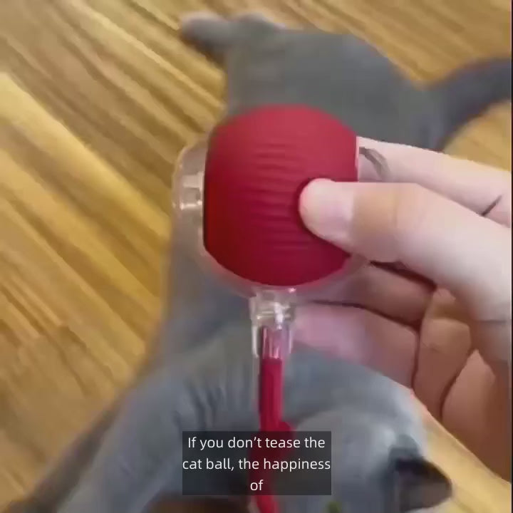 ZoomPaw Smart Interactive Cat Ball – Automatic Rolling Rechargeable Toy